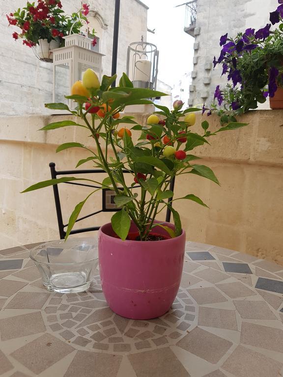 La Bomboniera Holiday Home มาเตรา ภายนอก รูปภาพ